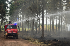 Am linken Bildrand steht ein Tanklöschfahrzeug im Wald. Ein Feuerwehrmann spritzt mit der Löschkanone auf dem Dach Wasser rechts in den Wald.