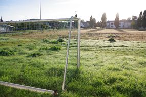 Ein Blick von hinter dem Fußballtor auf den wild mit Gras bewachsenen Sportplatz Arloff.