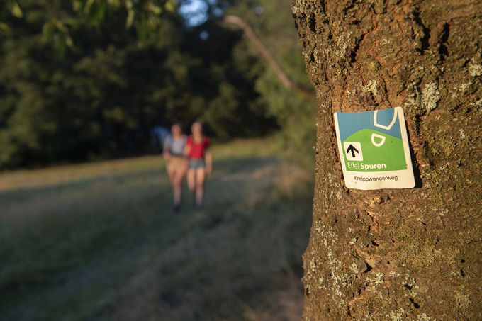 Schild an einem Baum, der auf die EifelSpur Kneipp-Wanderweg hinweist