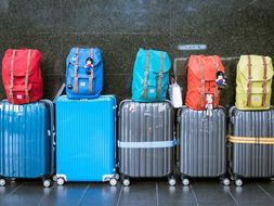 Fünf Rollkoffer stehen nebeneinander, auf jedem Koffer ein andersfarbiger Rucksack.
