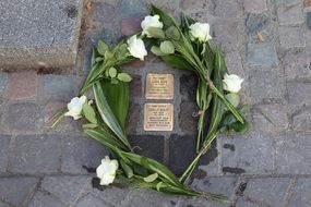 Sechs weiße Blumen mit grünen Stielen liegen im Kreis um die Stolpersteine.