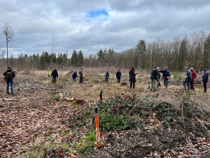 Teilnehmer der Wanderung auf einer brachliegenden Waldfläche