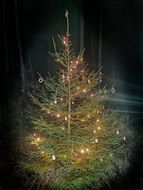 Ein geschmückter Weihnachtsbaum im Wald 
