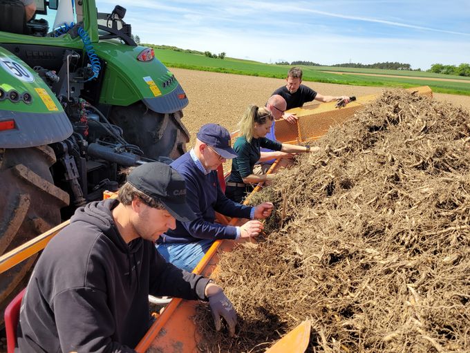 Vier Personen sitzen auf einer orangen Pflanzvorrichtung, die an einem Traktor angebracht wurde. Vor ihnen liegt ein großer Berg an Stecklingen.