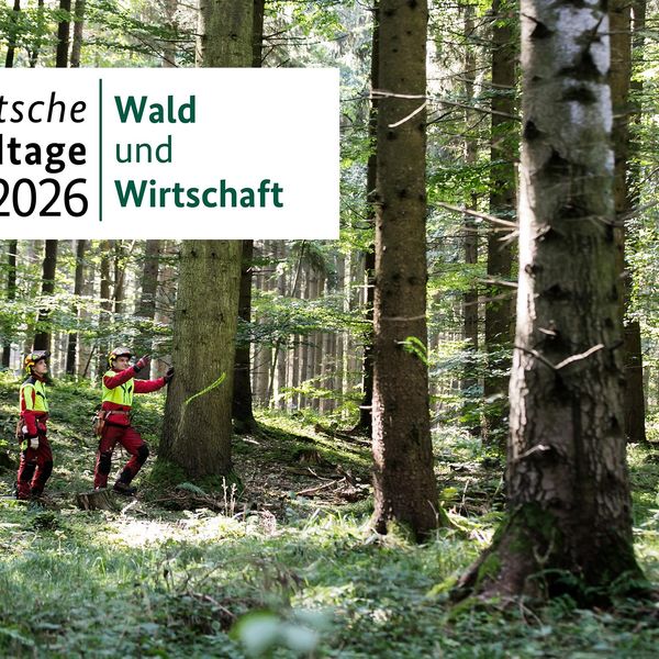Deutsche Waldtage 2026 Wald und Wirtschaft