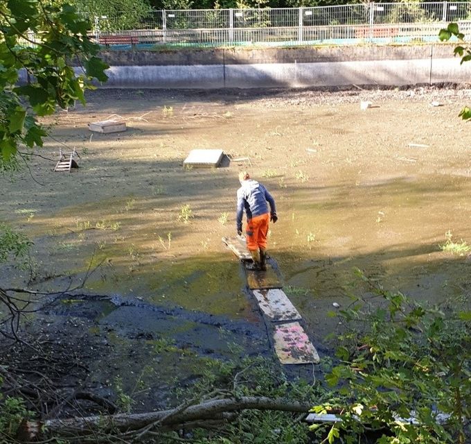 Das Bild zeigt einen Bauhof-Mitarbeiter auf dem Grund des trockengefallenen Teiches