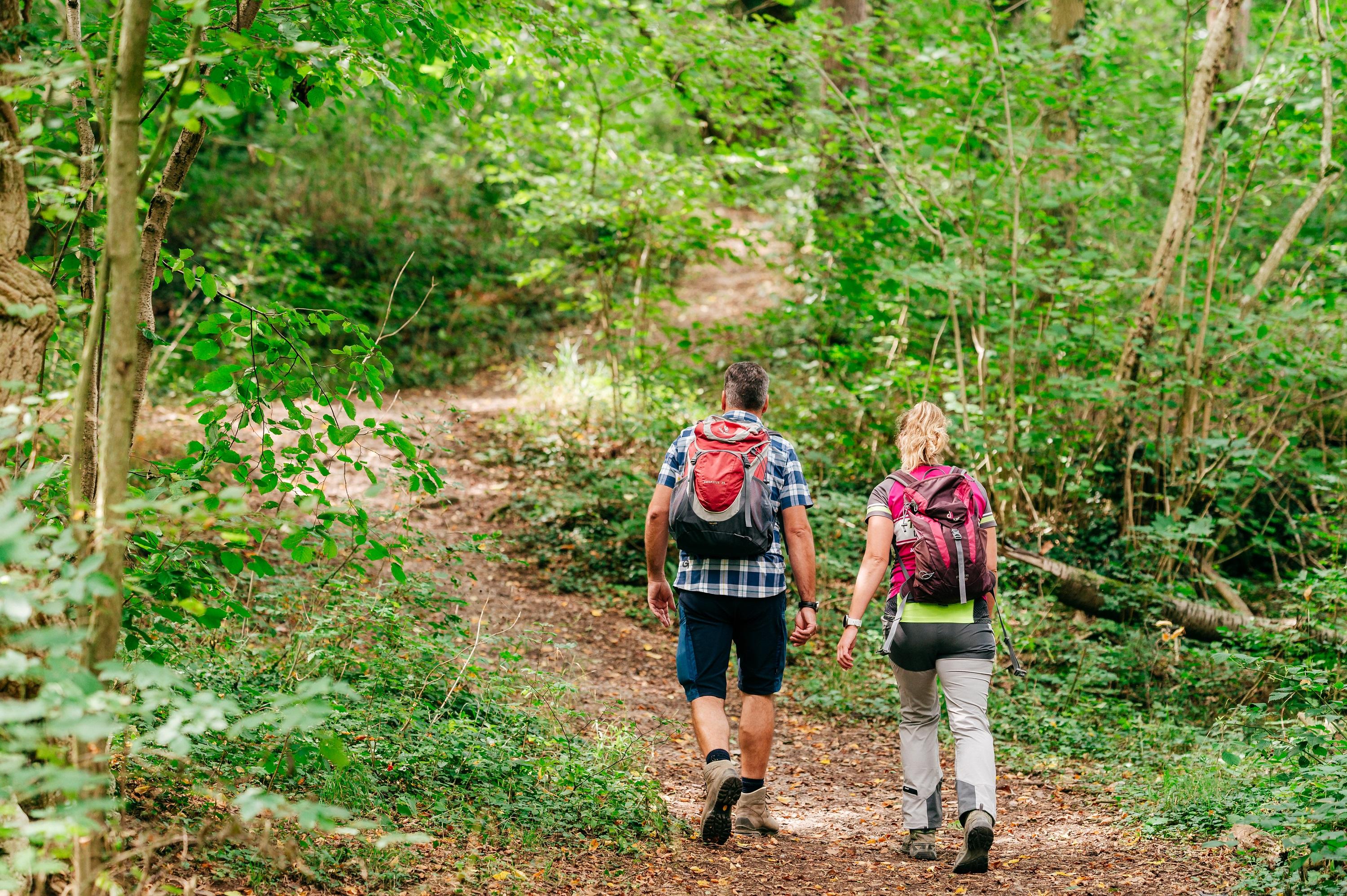 Wanderung Drover Heide